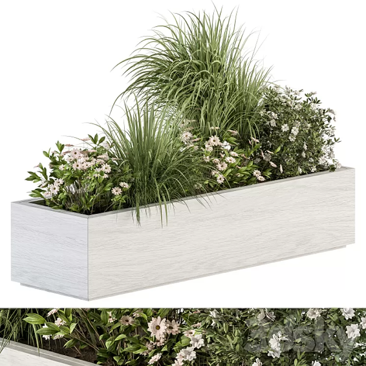 Outdoor Plant Set 290 - Plant Box 3D Model Free