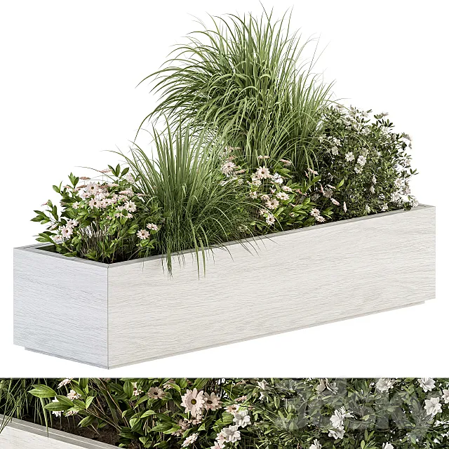 Outdoor Plant Set 290 - Plant Box 3DModel