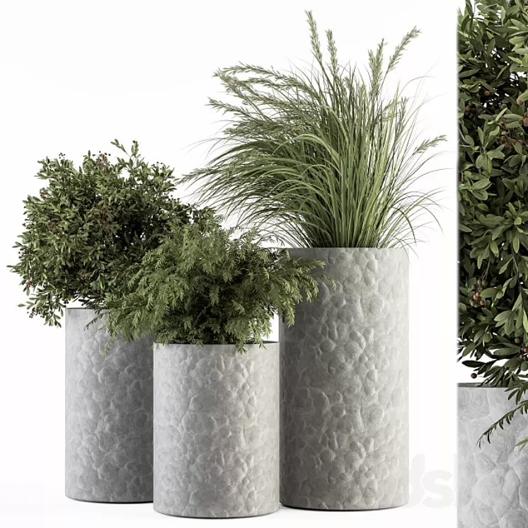 Outdoor Plant Set 292 - Plant Set in Concrete Pot 3D Model Free