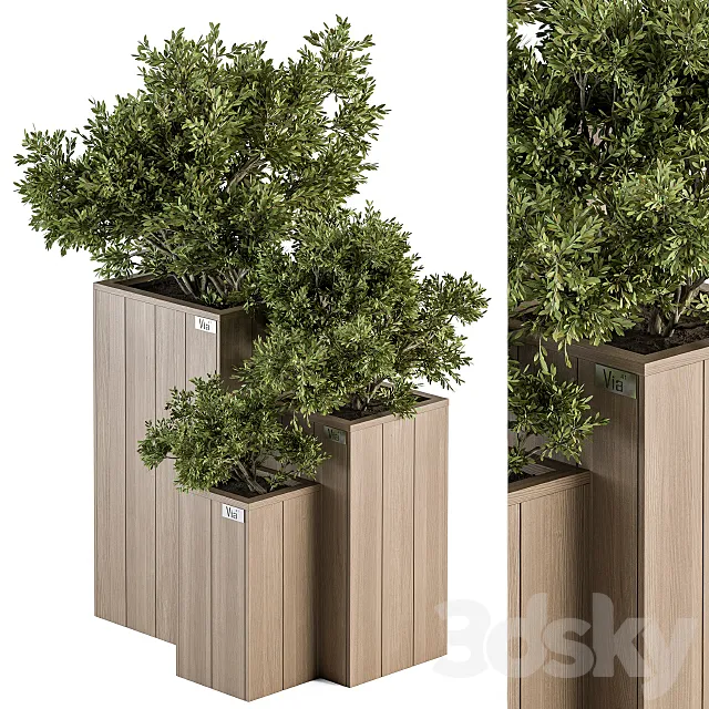 Outdoor Plant Set 298 - Wooden Plant Box 3DModel