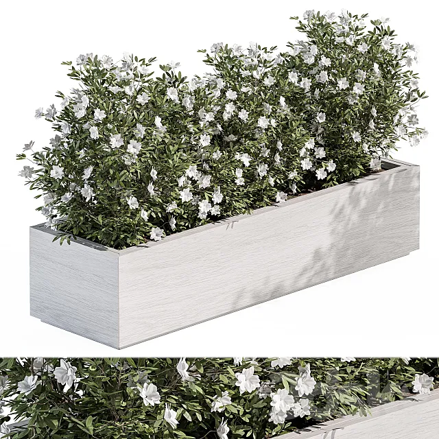 Outdoor Plant Set 304 - Plant Box 3D Model