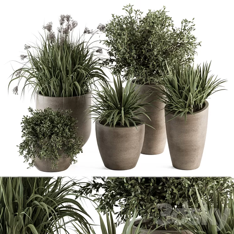 Outdoor Plant Set 311 - Yuka and Bush Set in Concrete Pot 3D Model