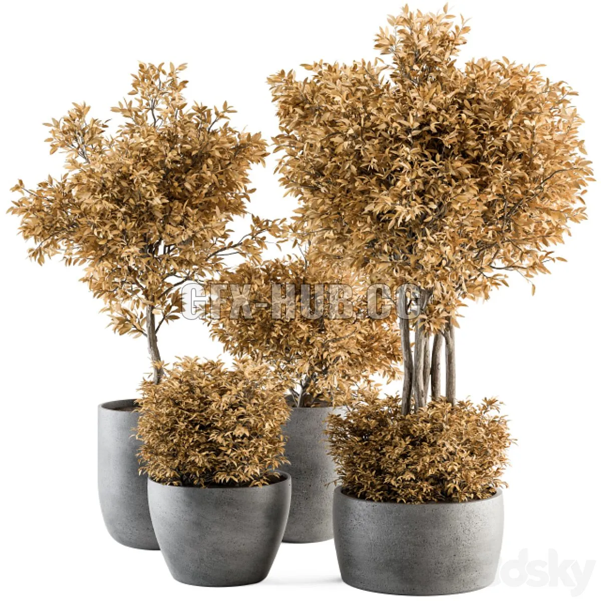 Outdoor Plant Set 322 3D Model