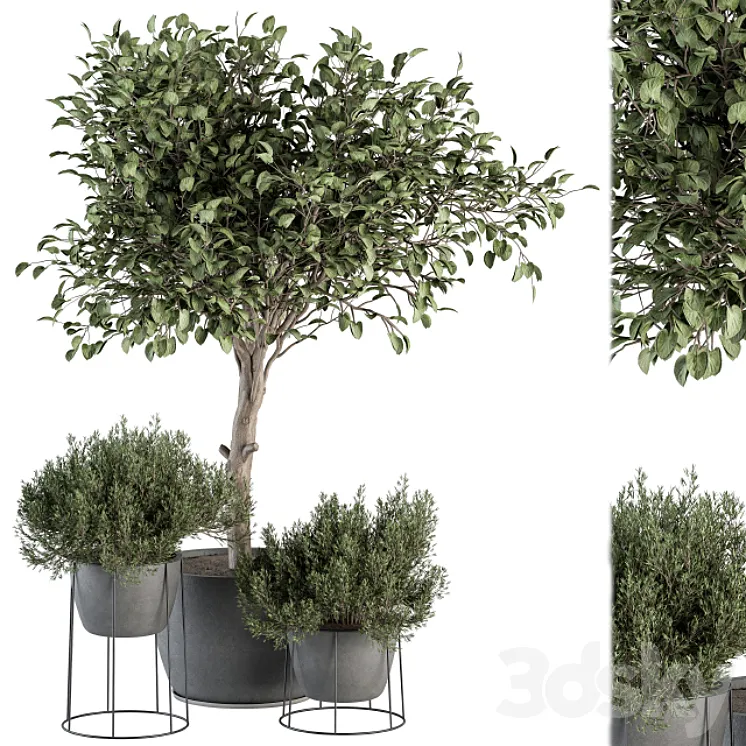 Outdoor Plant Set 323- Plant and Tree Set 3D Model Free