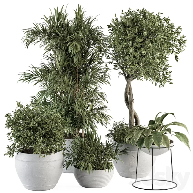 Outdoor Plant Set 323- Plant and Tree Set 3D Model