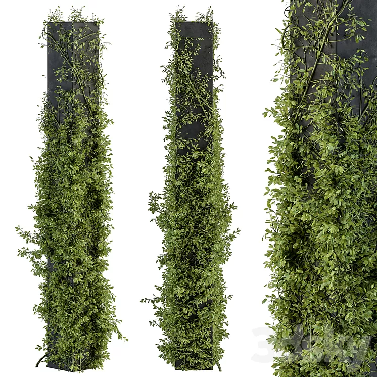 Outdoor Plant Set 394 - ivy on Column 3D Model Free