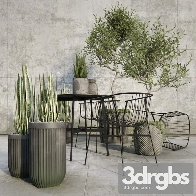 Outdoor Plant Set 3D Model Free