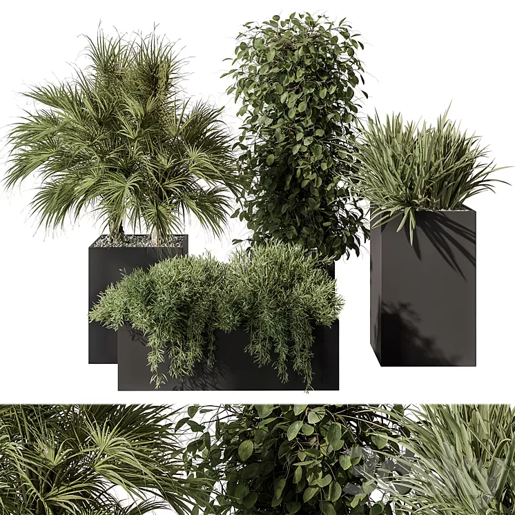 Outdoor Plant Set 402 - Plant Set in Plant Box 3D Model Free
