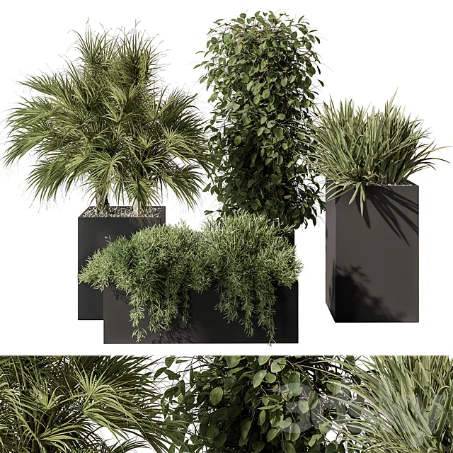 Outdoor Plant Set 402 - Plant Set in Plant Box 3DModel