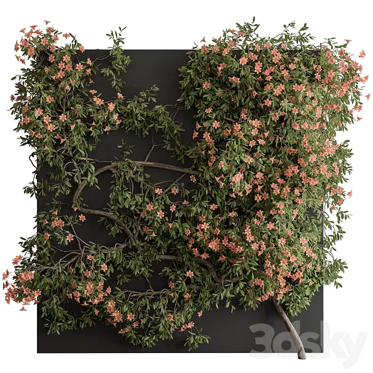 Outdoor Plant Set 426- Ivy on Wall 3D Model