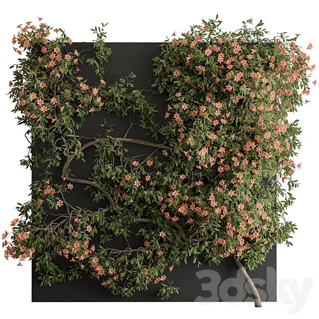 Outdoor Plant Set 426- Ivy on Wall 3D Model