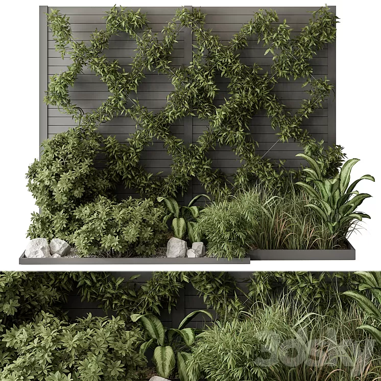 Outdoor Plant Set 429- Ivy on Wall 3D Model Free