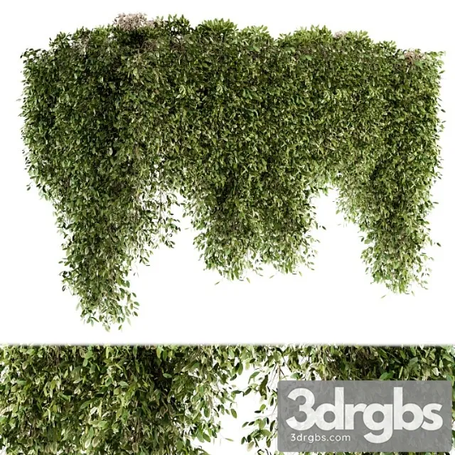 Outdoor Plant Set 96 Hanging Plants 3D Model Free