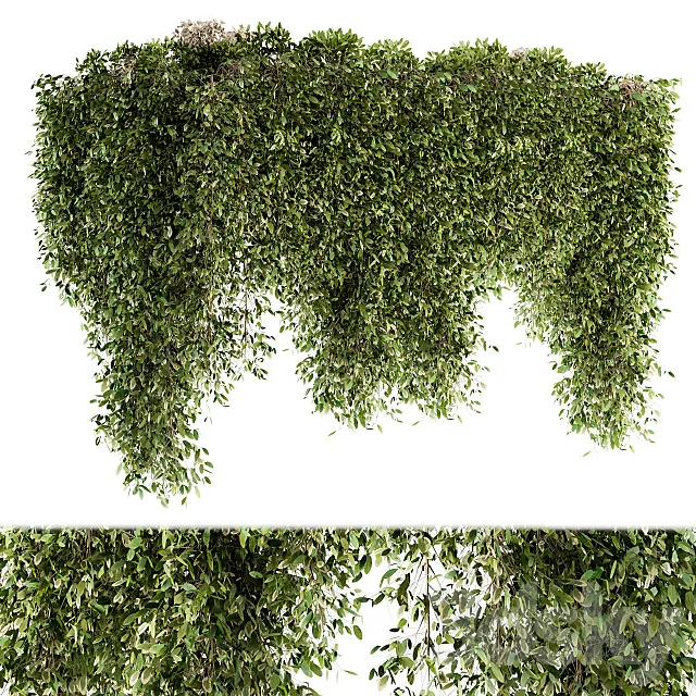 Outdoor Plant Set 96 - Hanging Plants 3D Model