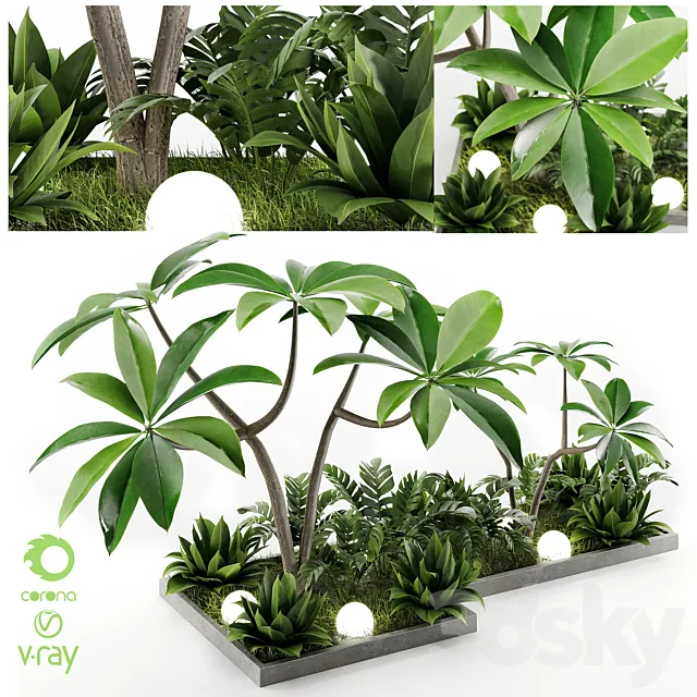 Outdoor Plant Vol1 04 3D Model