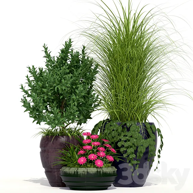 Outdoor Planters 3D Model