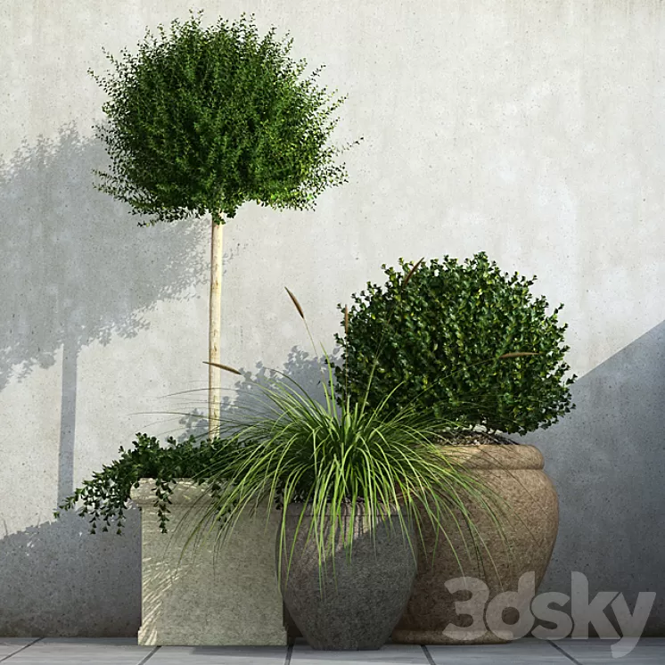 Outdoor Planters 3D Model