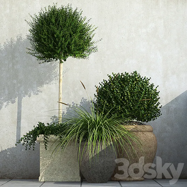 Outdoor Planters 3DModel