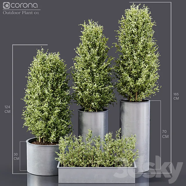 Outdoor Plants 01 3DModel