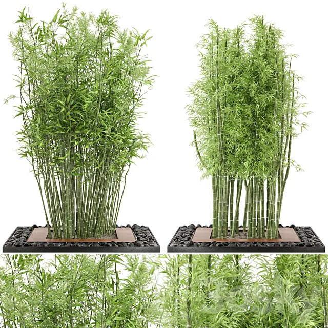 Outdoor Plants Bamboo Set Garden Set 21 3D Model