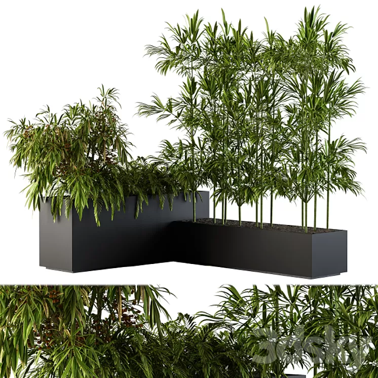 Outdoor Plants Black Plastic Box - Set 73 3D Model