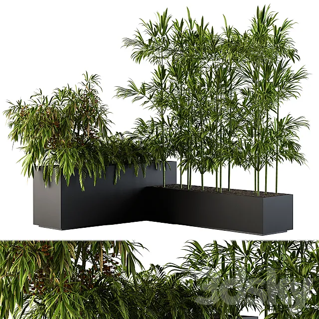 Outdoor Plants Black Plastic Box - Set 73 3DModel