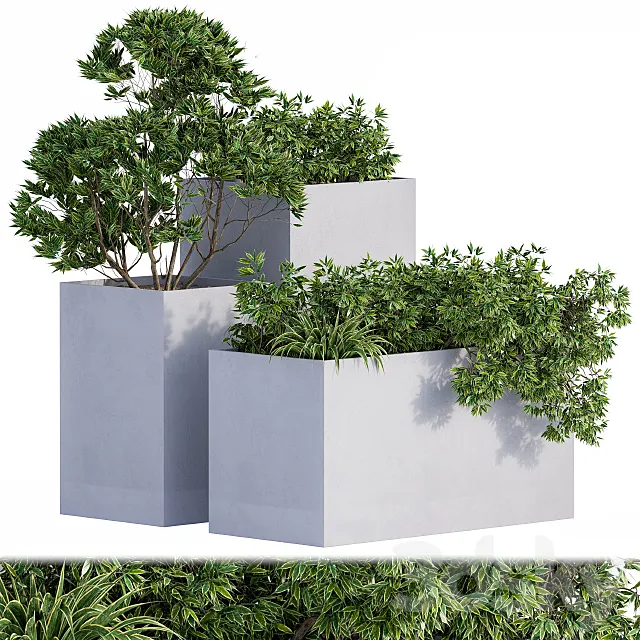 Outdoor Plants Box Concrete 3D Model