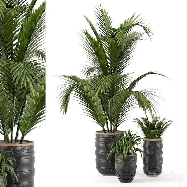 Outdoor Plants bush and Tree in rusty Concrete Pot – Set 148 3D Model