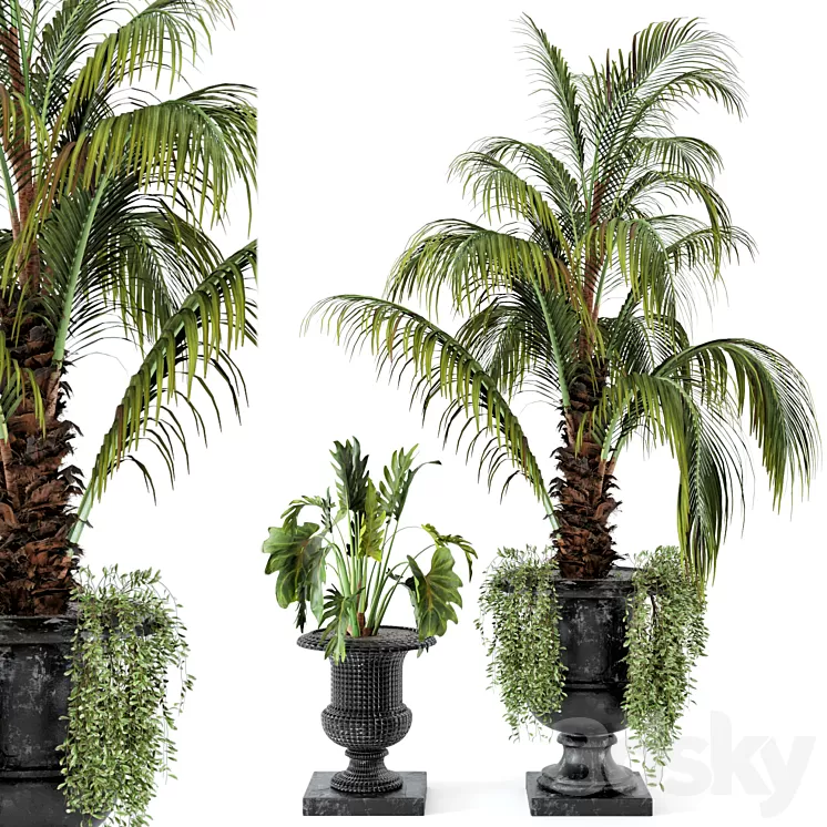 Outdoor Plants bush and Tree in rusty Concrete Pot – Set 26 3D Model