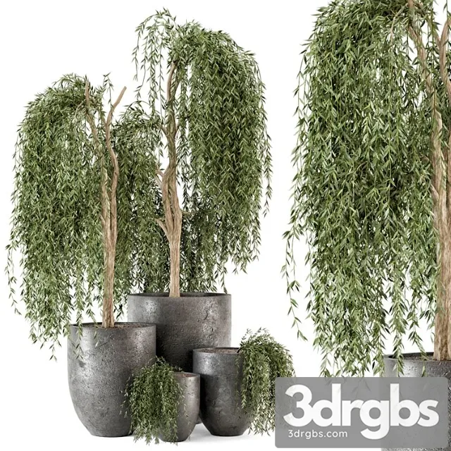 Outdoor Plants Bush And Tree In Rusty Dark Concrete Pot Set 52 3D Model Free