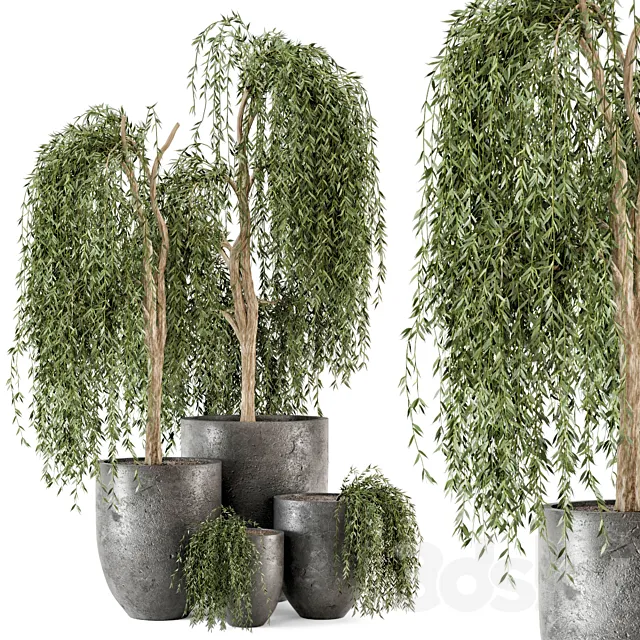 Outdoor Plants bush and Tree in rusty Dark Concrete Pot - Set 52 3D Model