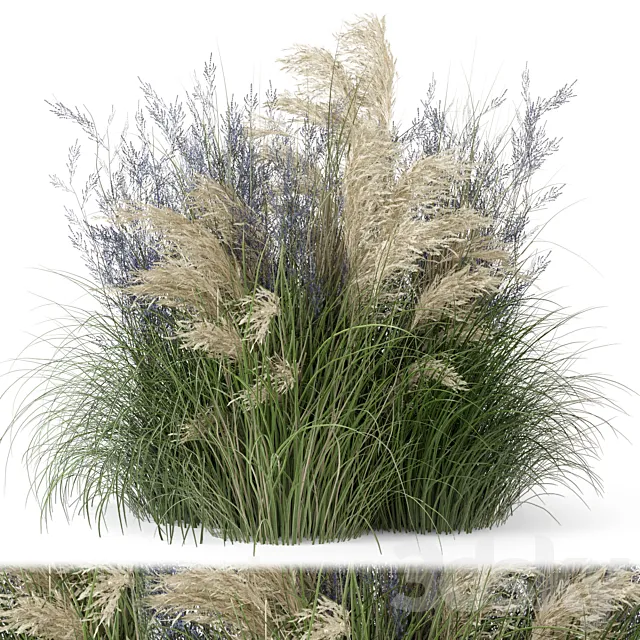 Outdoor Plants Bush-Bush Set 1135 3D Model