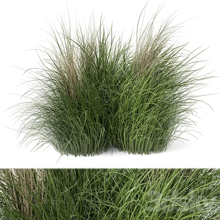 Outdoor Plants Bush -Bush Set 218 3D Model