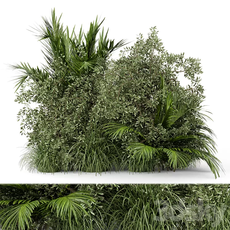 Outdoor Plants Bush-Bush Set 446 3D Model Free Download