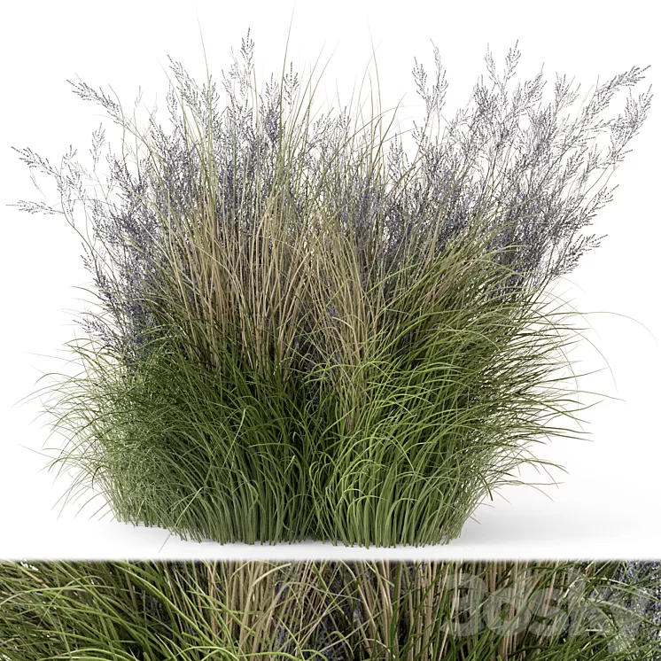 Outdoor Plants Bush-Bush Set 660 3D Model Free Download