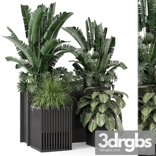Outdoor Plants Bush in Metal Pot Set 1074 3D Model Free