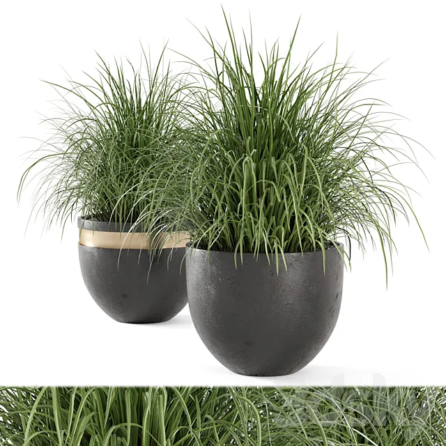 Outdoor Plants Bush in rusty Concrete Pot - Set 186 3DModel