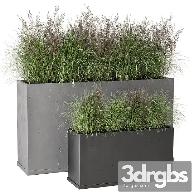 Outdoor Plants Bush in Rusty Concrete Pot Set 565 3D Model Free