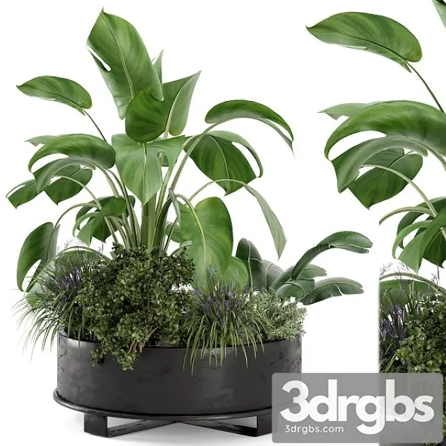 Outdoor Plants Bush in Rusty Metal Pot Set 222 3D Model Free