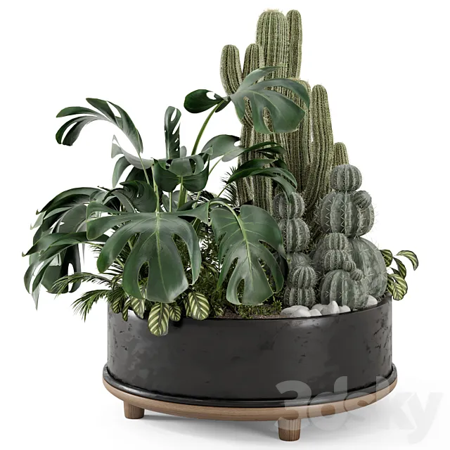 Outdoor Plants Bush in rusty Metal Pot - Set 666 3D Model