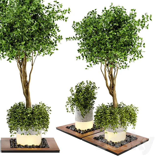 Outdoor Plants bush & Tree Combination of wood & concrete Pot - Garden Set 45 3D Model