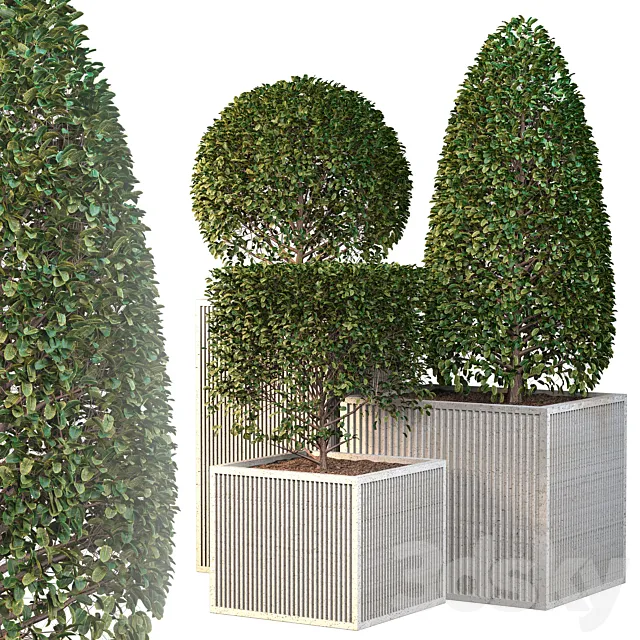 Outdoor plants - Bush vol2 3D Model