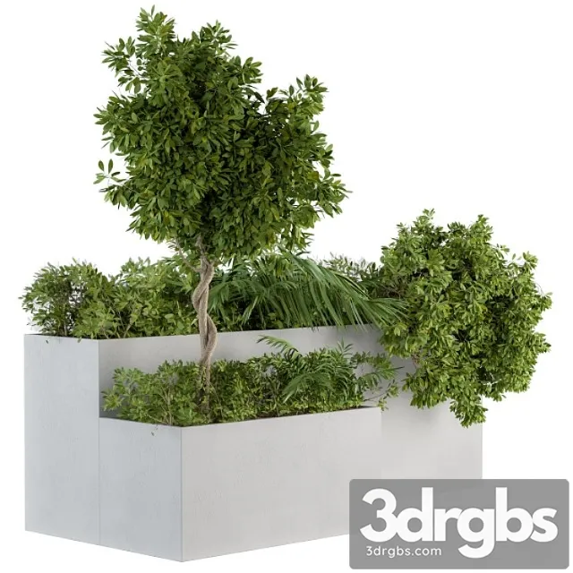 Outdoor Plants Concrete Box Set 45 3D Model Free