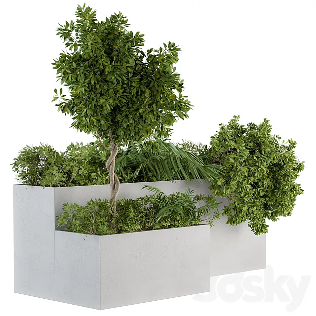 outdoor Plants Concrete Box - Set 45 3D Model