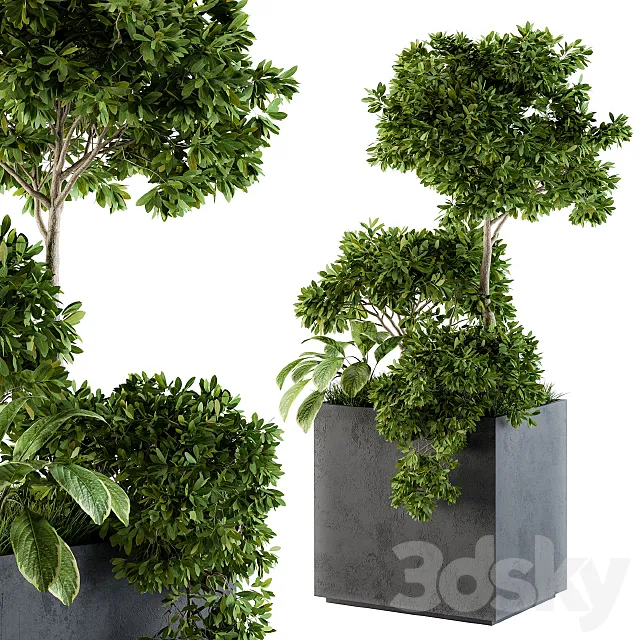 Outdoor Plants Concrete Box - Set 58 3D Model