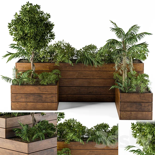 Outdoor Plants-Flower Box 2 3D Model