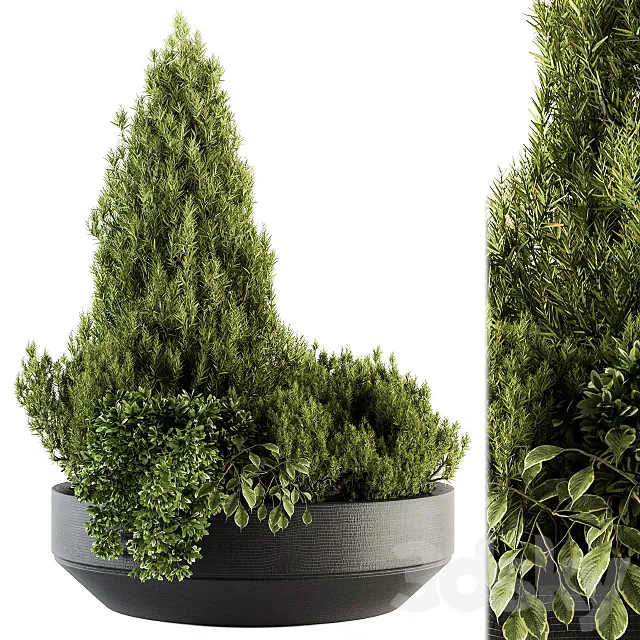 Outdoor Plants Garden - Set 142 3D Model