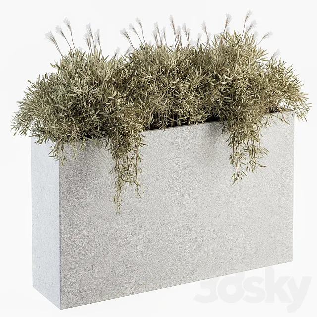 Outdoor Plants in Concrete Plant Box - Set 165 3D Model