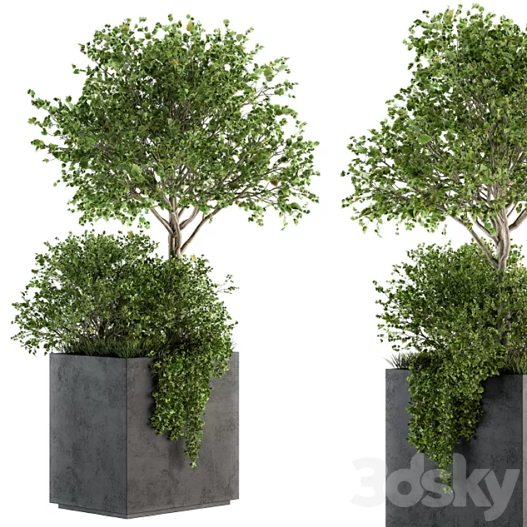 Outdoor Plants in Concrete Plant Box - Set 93 3D Model