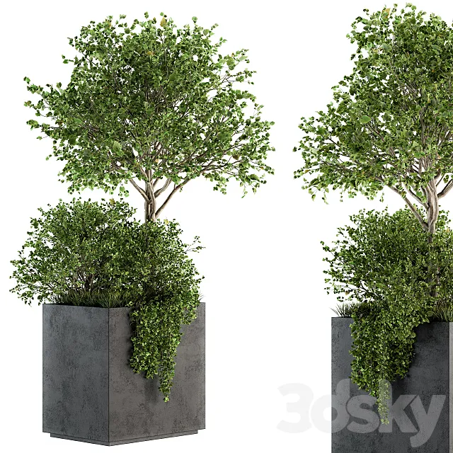 Outdoor Plants in Concrete Plant Box - Set 93 3DModel